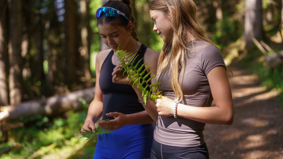 Hiking route Kulmberg Loop Trail - Touren-Impression #2.9 | © Christine Höflehner