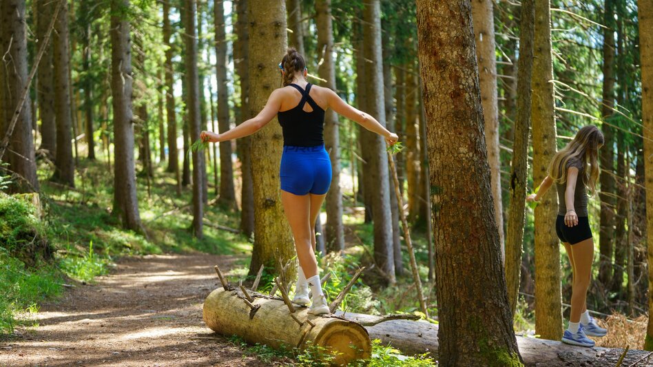 Hiking route Kulmberg Loop Trail - Touren-Impression #2.10 | © Christine Höflehner