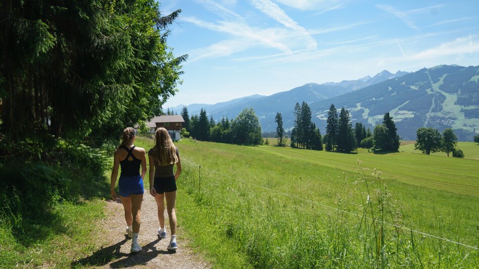 Hiking route Kulmberg Loop Trail - Touren-Impression #2.11 | © Christine Höflehner