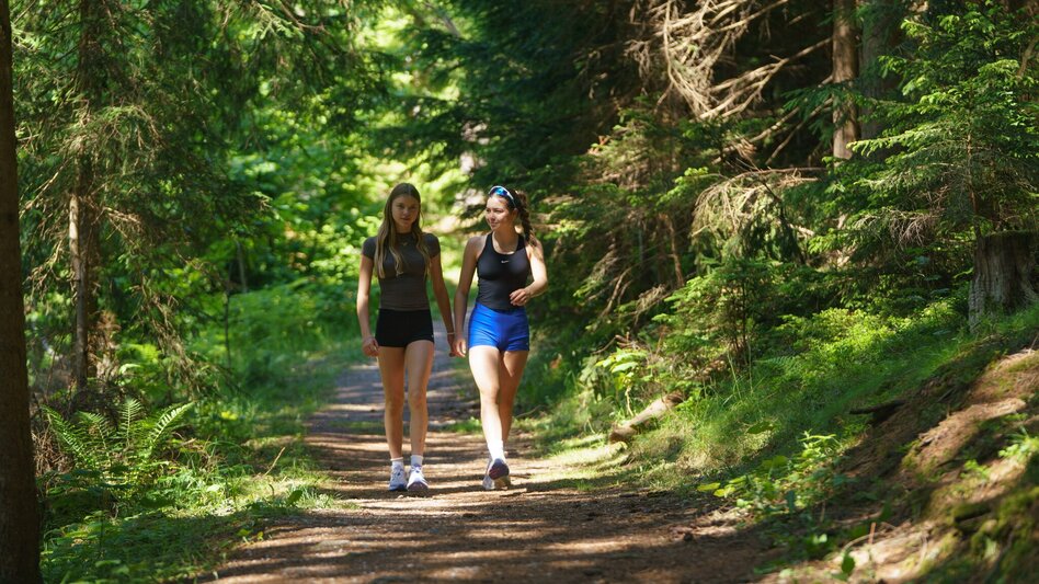 Hiking route Kulmberg Loop Trail - Touren-Impression #2.12 | © Christine Höflehner