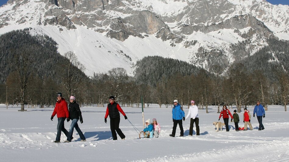 Winter Hiking Panorama Loop Trail - Touren-Impression #2.2 | © Erlebnisregion Schladming-Dachstein