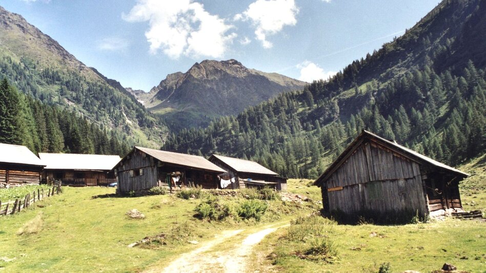 Wanderung Zum Almdorf in der Tuchmoaralm - Touren-Impression #2.2 | © Erlebnisregion Schladming-Dachstein