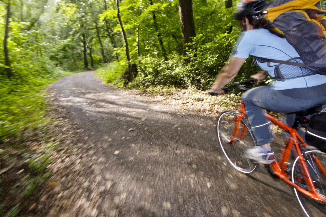 Bike Riding Stage 07 Mur Cycle Path Leibnitz - Bad Radkersburg - Touren-Impression #1 | © Steiermark Tourismus/Gerhard Eisenschink