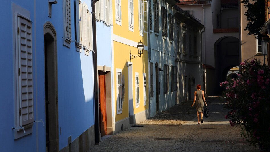 Bike Riding Stage 07 Mur Cycle Path Leibnitz - Bad Radkersburg - Touren-Impression #2.4 | © (c) Steiermark Tourismus/Harry Schiffer