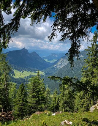 Blick Richtung Ennstal | Manfred Polansky | © Steiermark Tourismus/Manfred Polansky