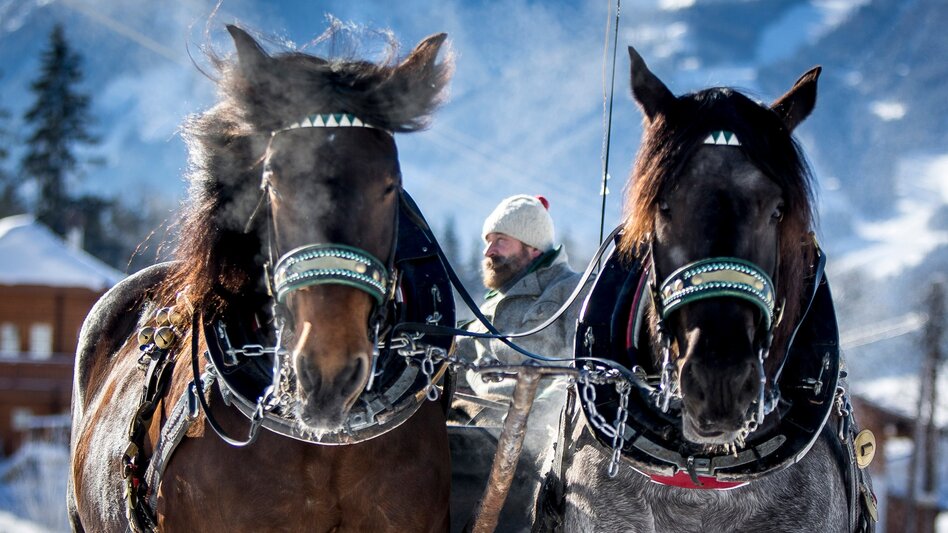 Horse Carriage Ride "Halserround" - sleighs - Touren-Impression #2.1 | © Erlebnisregion Schladming-Dachstein
