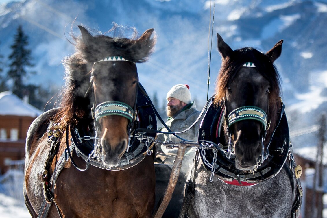 Horse Carriage Ride "Halserround" - sleighs - Touren-Impression #1 | © Erlebnisregion Schladming-Dachstein