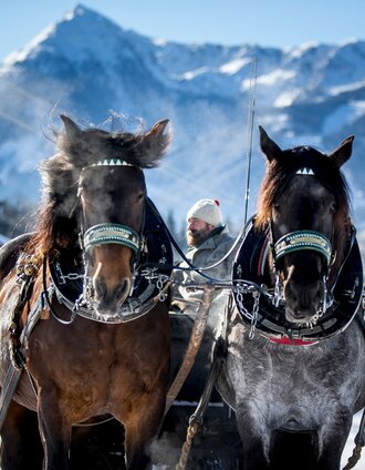 halserweg pferdeschlittenweg_img_43758126 | Tom Lamm | © Erlebnisregion Schladming-Dachstein
