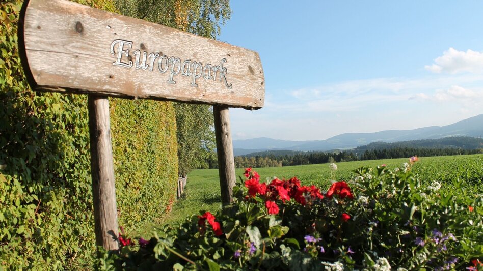 Wanderung Arzbergrundweg, St. Jakob im Walde - Touren-Impression #2.5 | © Oststeiermark Tourismus