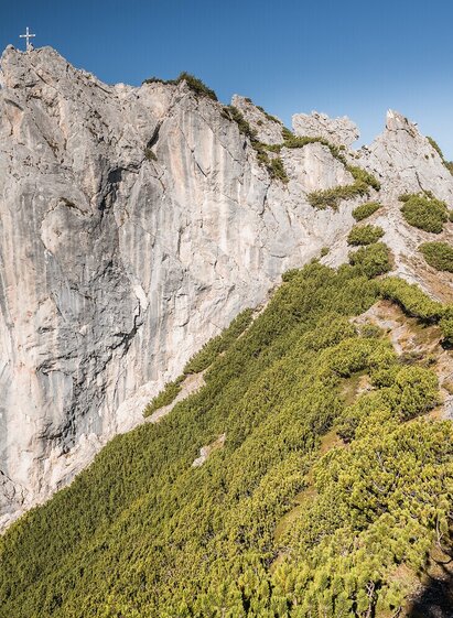 Andreas Hollinger-8691_NPG.jpg | Andreas Hollinger