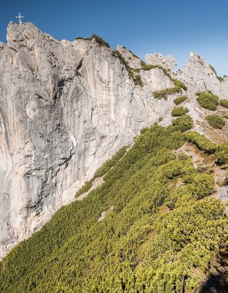 Andreas Hollinger-8691_NPG.jpg | Andreas Hollinger