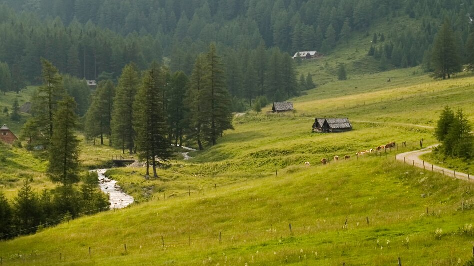 Hiking route Stage 08 From Glacier to Wine South Route Putzentalalm - Krakau - Touren-Impression #2.1 | © Steiermark Tourismus/Podpera