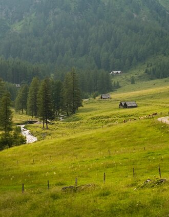 Blick ins Krakautal | podpera | © Steiermark Tourismus/Podpera