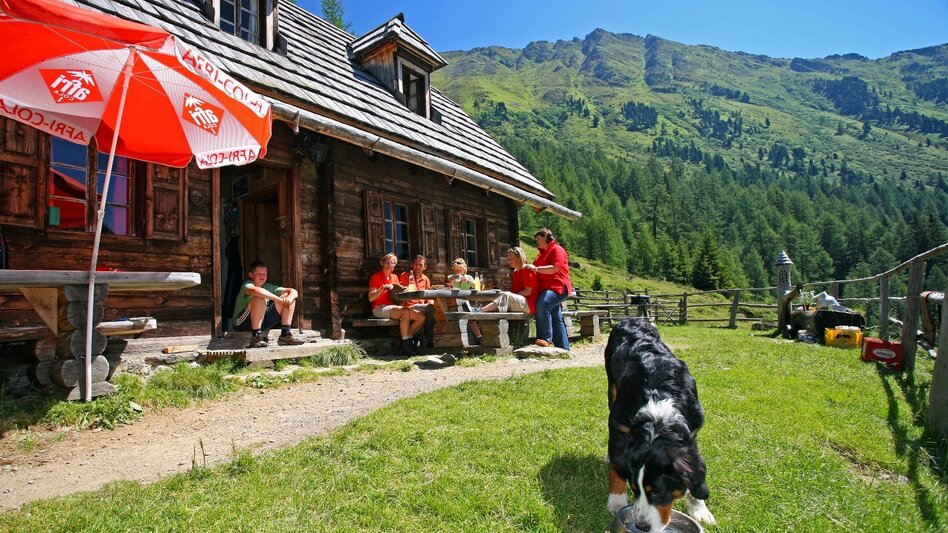 Hiking route Stage 08 From Glacier to Wine South Route Putzentalalm - Krakau - Touren-Impression #2.3 | © Fa. Lowa/Herbert Raffalt