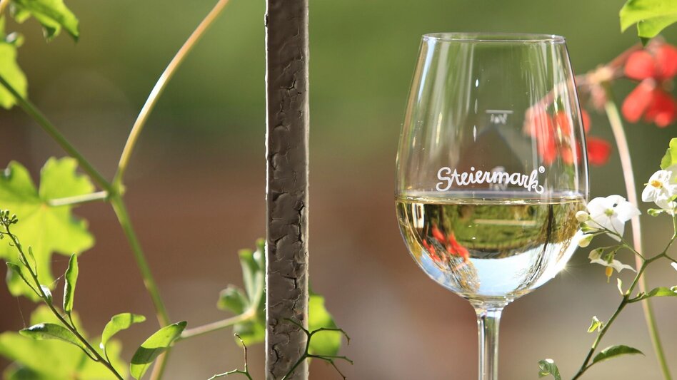 Bike Riding Beetle Bean Tour to the Roman Wine Route - Touren-Impression #2.1 | © Steiermark Tourismus/Harry Schiffer