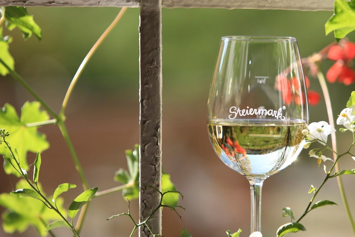 Bike Riding Beetle Bean Tour to the Roman Wine Route - Touren-Impression #1 | © Steiermark Tourismus/Harry Schiffer