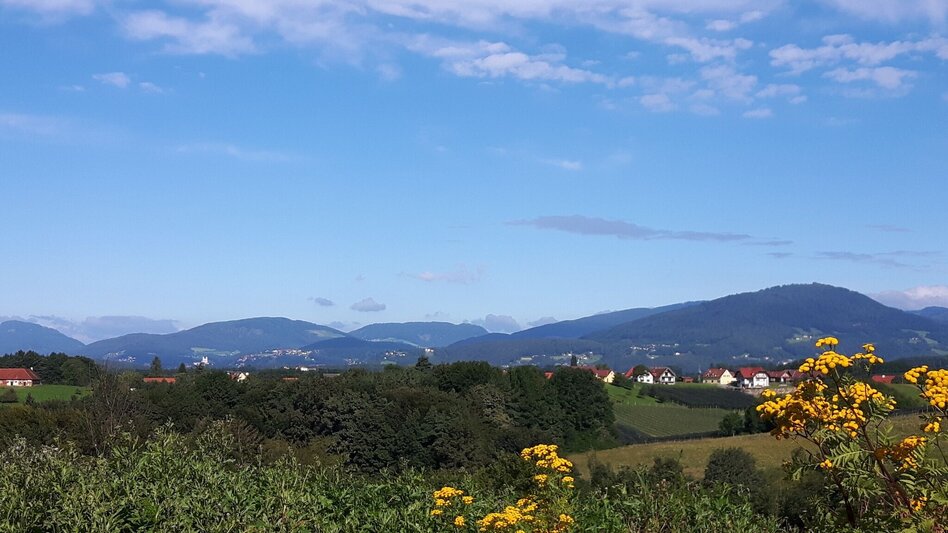 Bike Riding Beetle Bean Tour to the Roman Wine Route - Touren-Impression #2.5 | © (c) Martina Steininger
