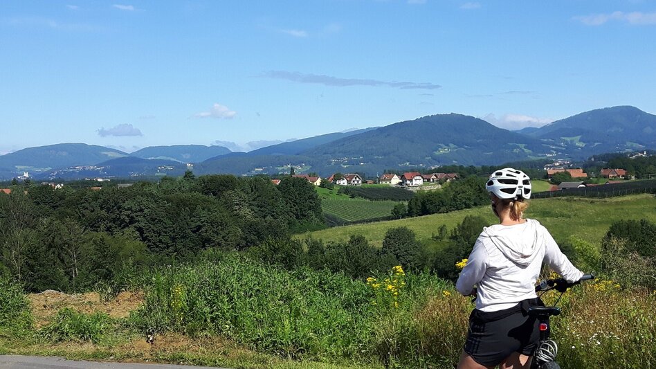 Bike Riding Beetle Bean Tour to the Roman Wine Route - Touren-Impression #2.6 | © (c) Martina Steininger