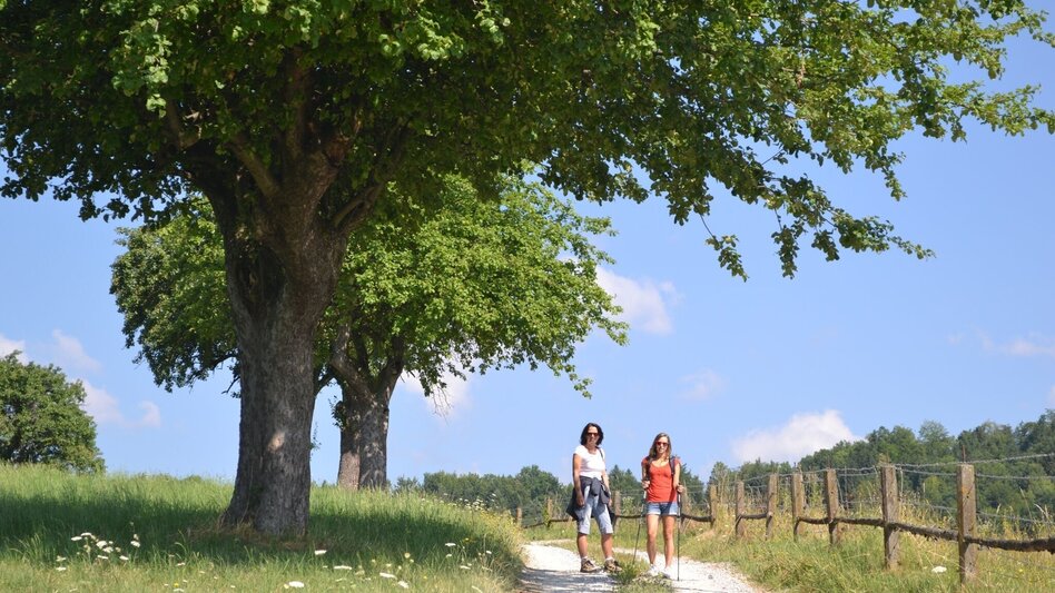 Hiking route Pluto Rundweg - Touren-Impression #2.1 | © Region Graz