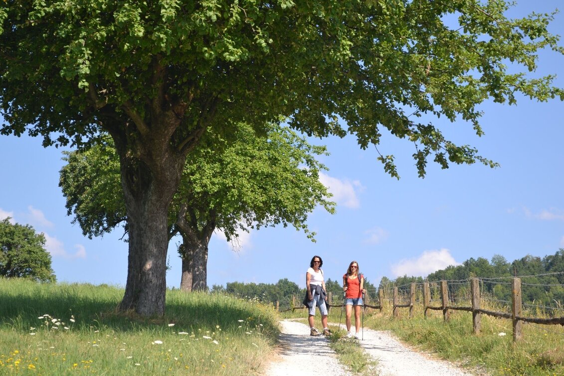 Hiking route Pluto Rundweg - Touren-Impression #1 | © Region Graz