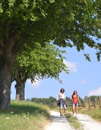 Wandern am Thermenlauf | Harald Wohnhas | © Region Graz