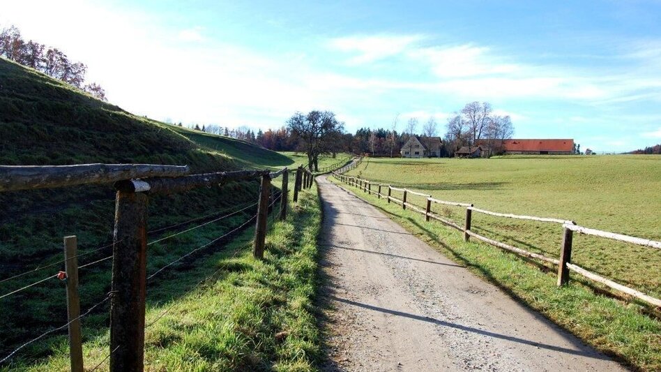 Hiking route Pluto Rundweg - Touren-Impression #2.4 | © Region Graz