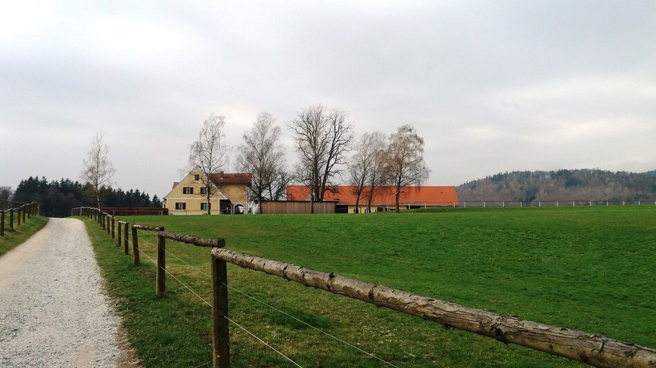Hiking route Pluto Rundweg - Touren-Impression #2.5 | © Region Graz