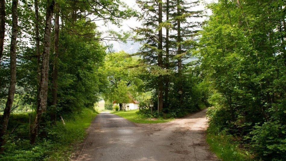 Hiking route Waterfall  hiking trail - Touren-Impression #2.2 | © TV Gesäuse