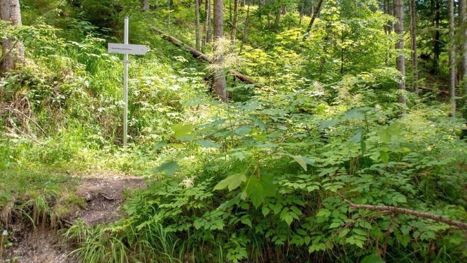Hiking route Waterfall  hiking trail - Touren-Impression #2.10 | © TV Gesäuse