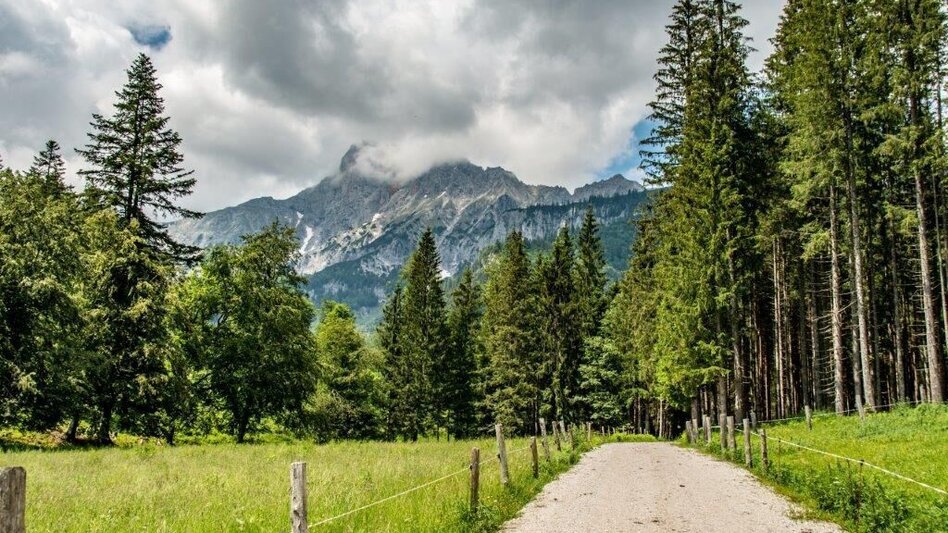 Hiking route Waterfall  hiking trail - Touren-Impression #2.12 | © TV Gesäuse