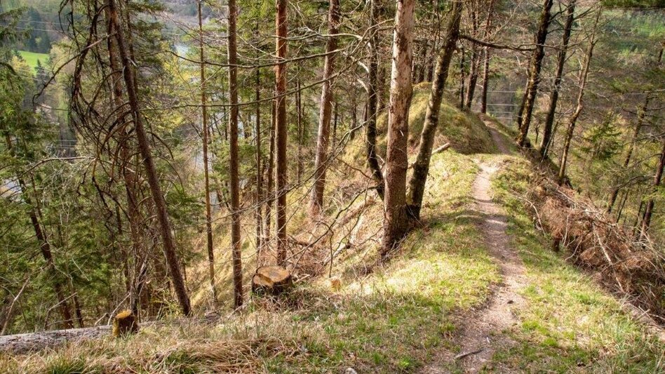 Hiking route The Rochusgrotte - Touren-Impression #2.2 | © TV Gesäuse