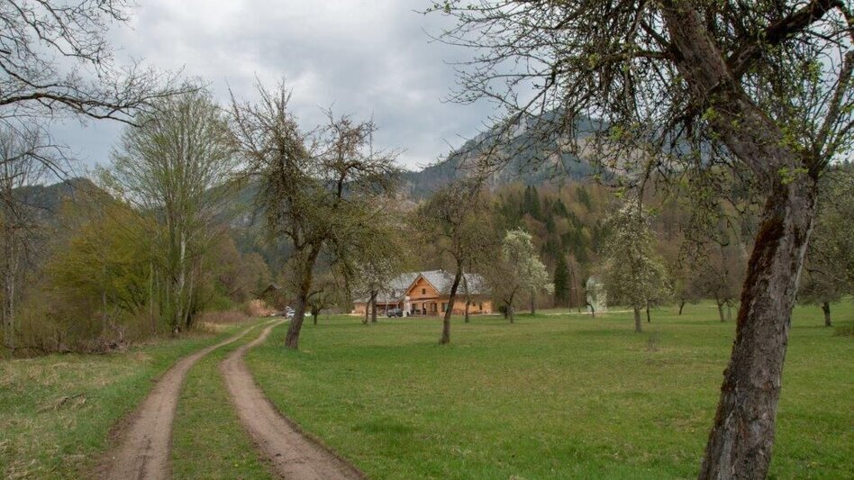 Hiking route The Rochusgrotte - Touren-Impression #2.11 | © TV Gesäuse