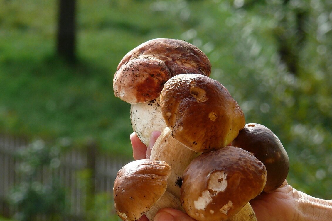 Hiking route Franz Schöggl Trail - Touren-Impression #1 | © TV Hochsteiermark