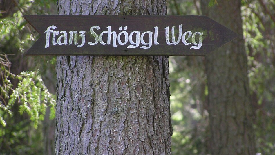 Hiking route Franz Schöggl Trail - Touren-Impression #2.2 | © TV Hochsteiermark