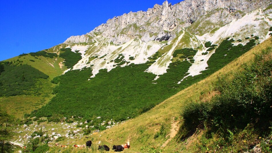 Hiking route Auf den Gipfel der Hohen Veitsch - Touren-Impression #2.3 | © TV Hochsteiermark