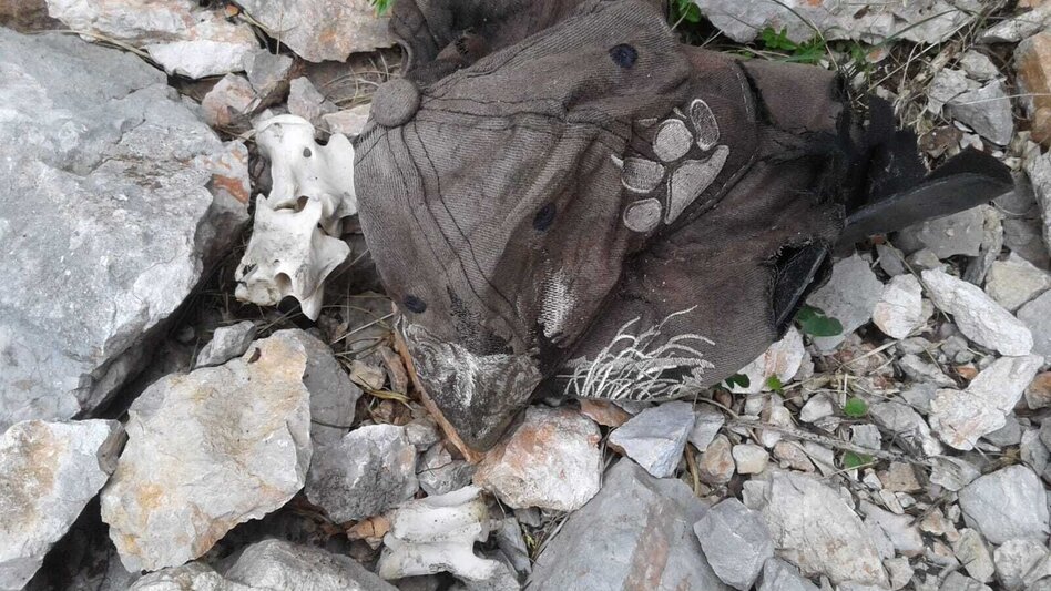 Bergtour Peternpfad - Touren-Impression #2.8 | © TV Gesäuse