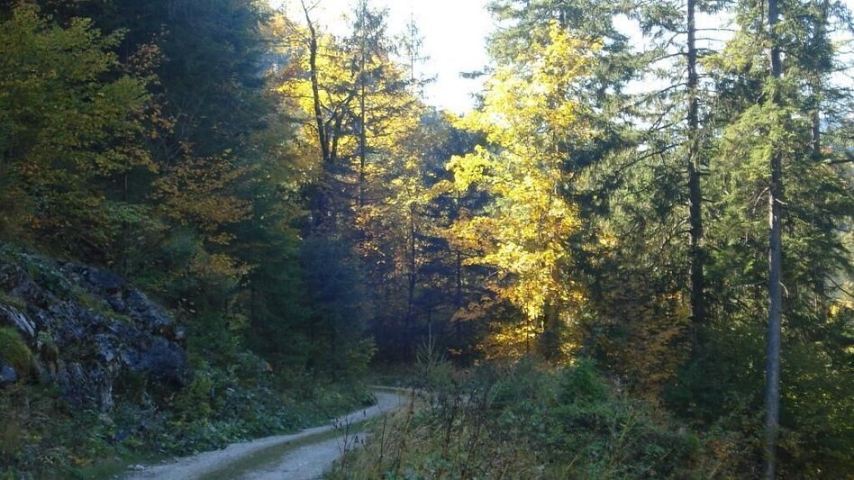 Hiking route Paradise Path Palfau - Touren-Impression #2.1 | © Gesäuse - Palfau