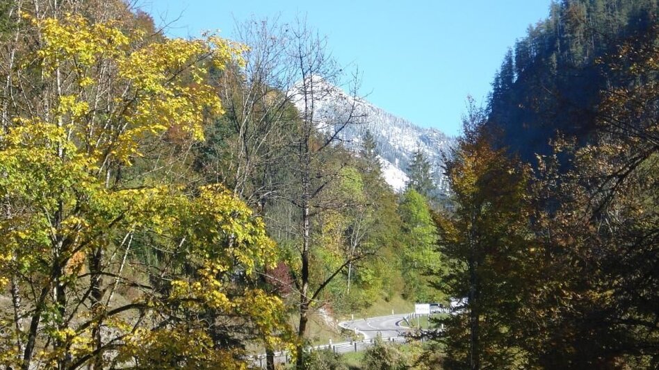 Hiking route Paradise Path Palfau - Touren-Impression #2.2 | © Gesäuse - Palfau