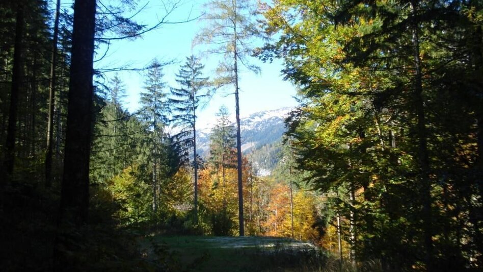 Hiking route Paradise Path Palfau - Touren-Impression #2.3 | © Gesäuse - Palfau
