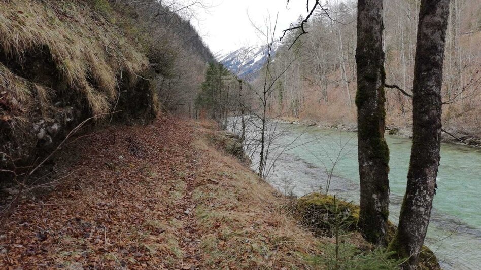 Hiking route Paradise Path Palfau - Touren-Impression #2.4 | © TV Gesäuse