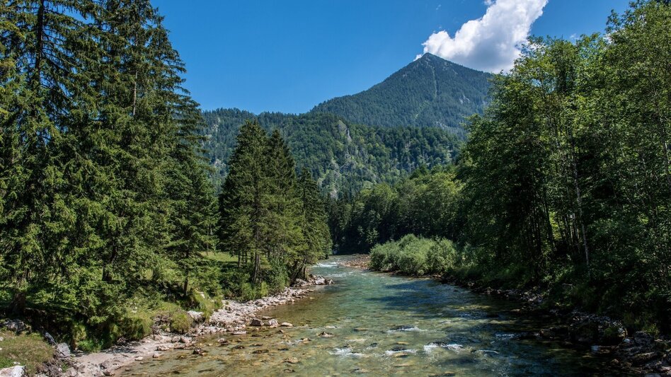 Hiking route Paradise Path Palfau - Touren-Impression #2.9 | © TV Gesäuse