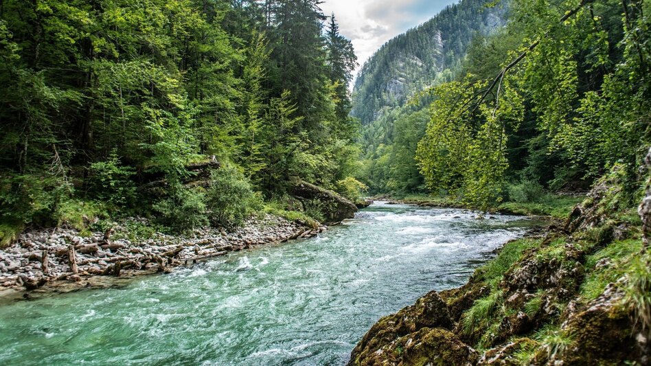 Hiking route Paradise Path Palfau - Touren-Impression #2.10 | © TV Gesäuse