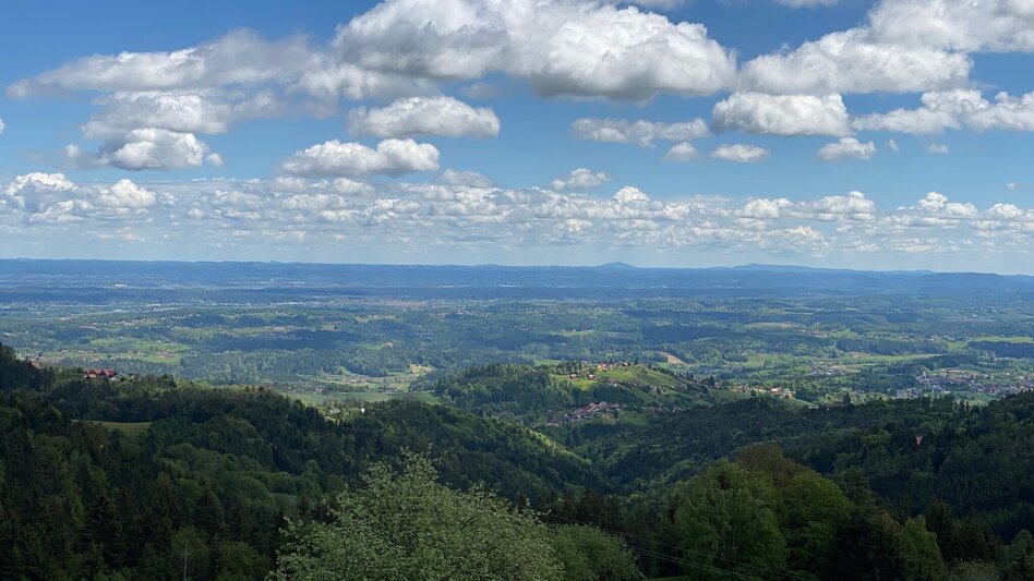 Wies - Impression #2.6 | © Schilcherland Steiermark