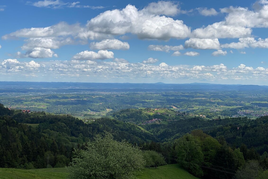 Radfahren Schilcher Tour Nord Nr. 702, Variante 2 - Touren-Impression #1 | © Schilcherland Steiermark