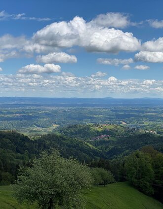 All-round view of the Schilcherland | Stefanie Schmid | © Schilcherland Steiermark