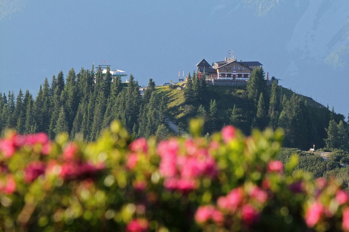 Hiking route 4-Seasons Hiking Path - Touren-Impression #1 | © Tourismusverband Schladming - Martin Huber