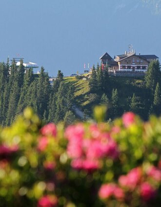 View from Rossfeld to Hochwurzen with Hochwurzenhütte | Martin Huber | © Tourismusverband Schladming - Martin Huber