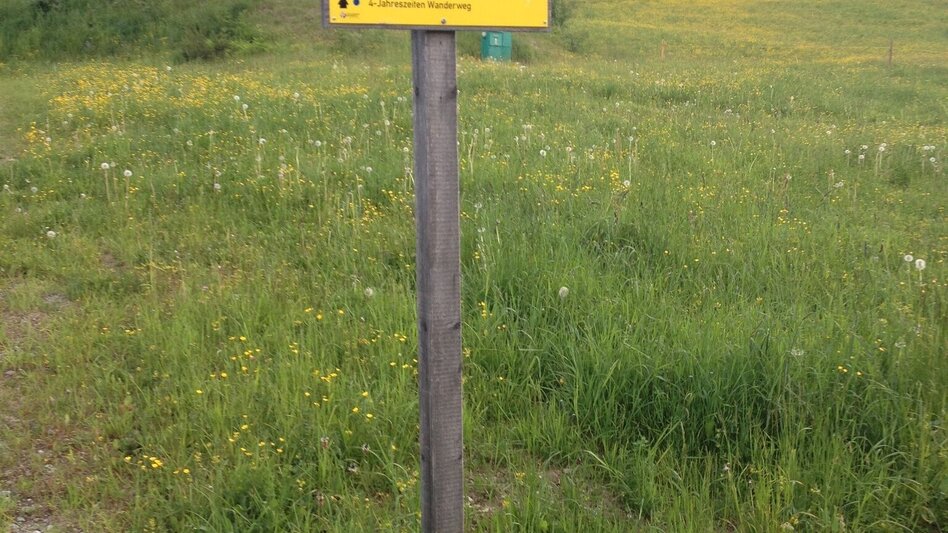 Hiking route The Hochwurzen Tour - Touren-Impression #2.5 | © Gerhard Pilz