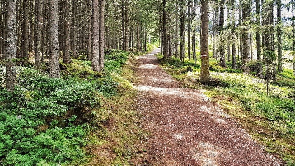 Hiking route The Hochwurzen Tour - Touren-Impression #2.9 | © Gerhard Pilz