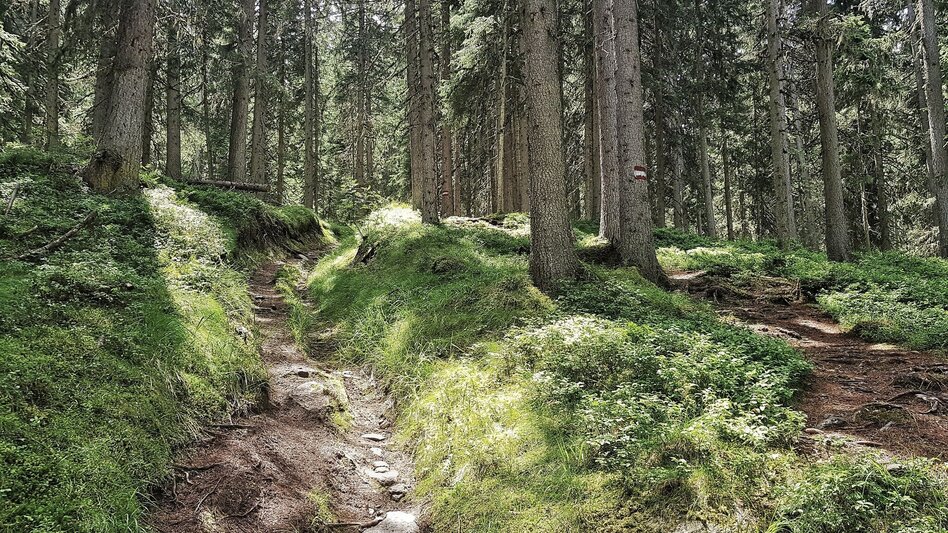 Hiking route The Hochwurzen Tour - Touren-Impression #2.12 | © Gerhard Pilz